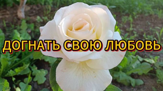 Догнать свою любовь смотреть онлайн
