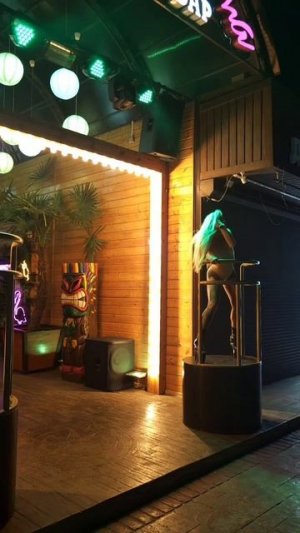 Пошёл выгуливать чемодан...