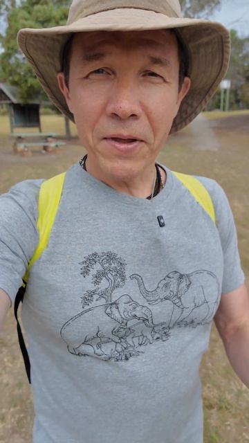 С Новым Годом от 