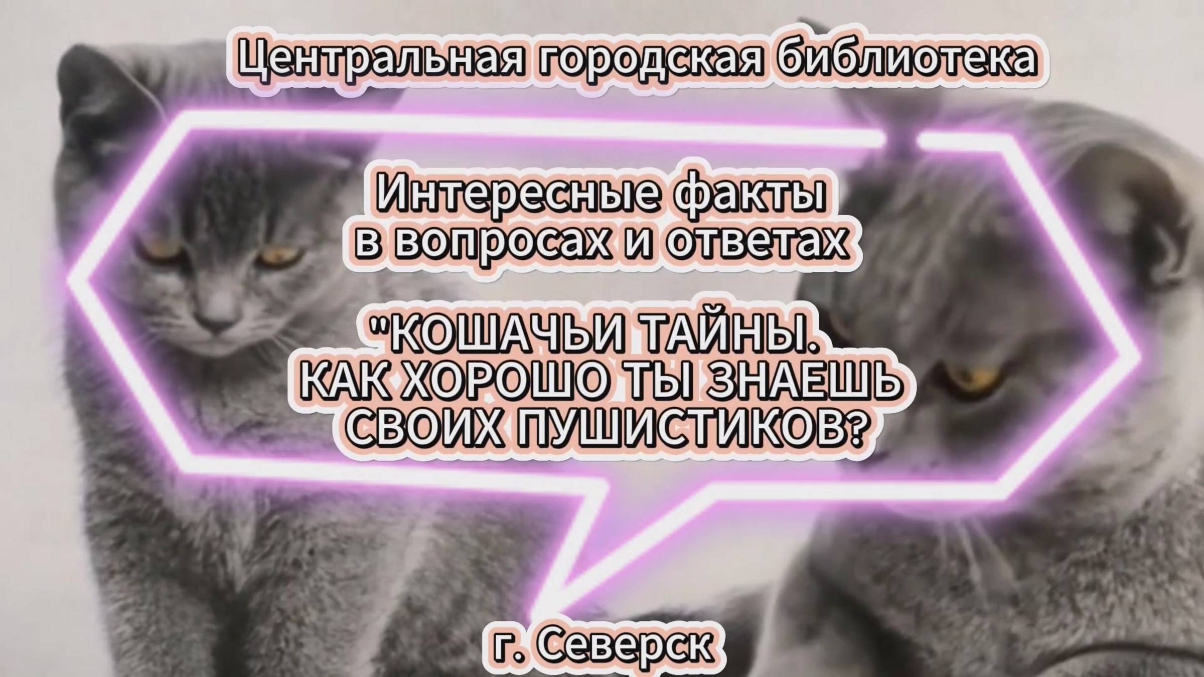 Видеоролик "Кошачьи тайны" ко Дню кошек (12+) смотреть онлайн