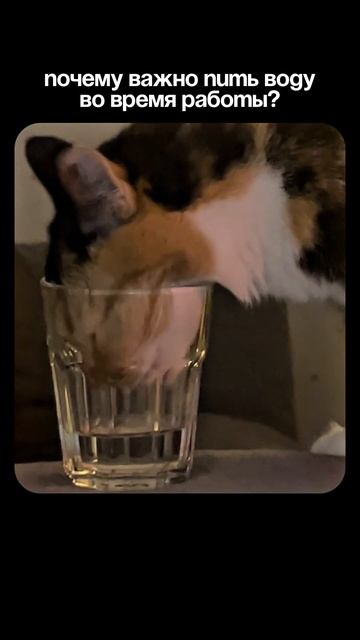 Никогда не пей воду на фрилансе! смотреть онлайн