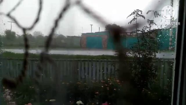 Пилим валежник смотреть онлайн