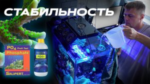 Морской аквариум стабильность