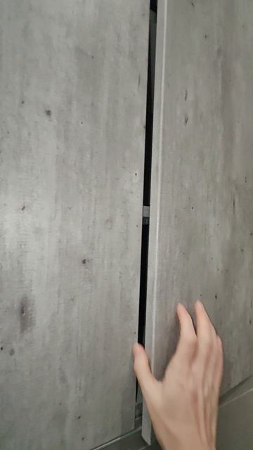 VID_20241218_112543.mp4