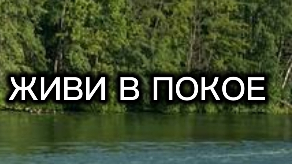 живи в покое смотреть онлайн