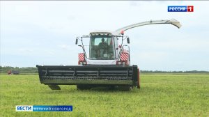 ГТРК СЛАВИЯ Вести Великий Новгород 07.08.25