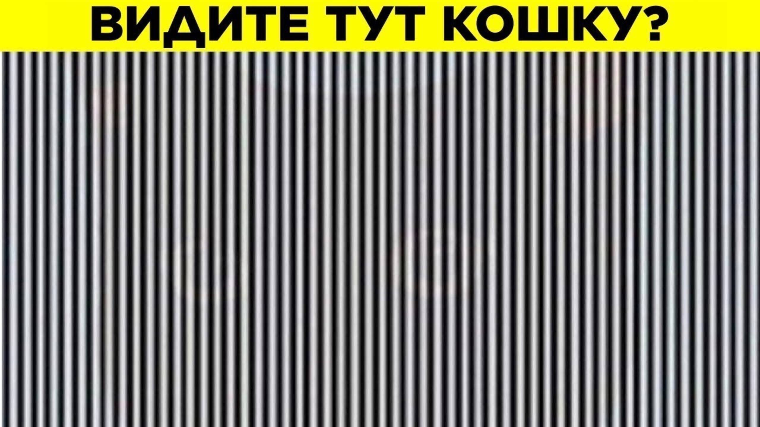 Проверьте Своё Зрение С Этими Тестами смотреть онлайн
