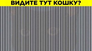 Проверьте Своё Зрение С Этими Тестами