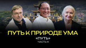 Путь к природе ума. Часть III. Путь