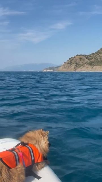 Мирочка 💖💖💖 смотреть онлайн