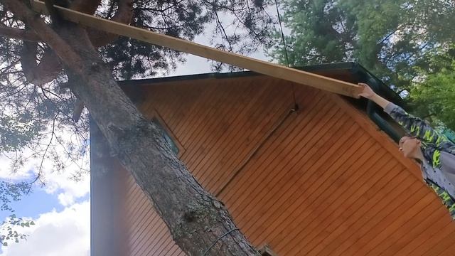 Приключения кошки Люси на даче. Операция "Совёнок". смотреть онлайн