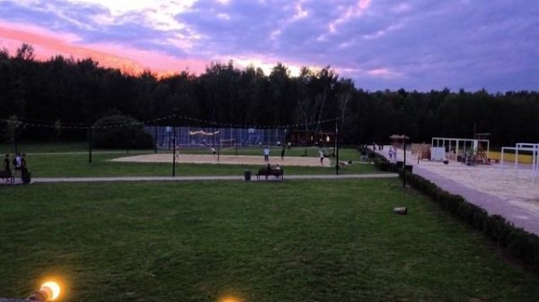 Волейбол в парке