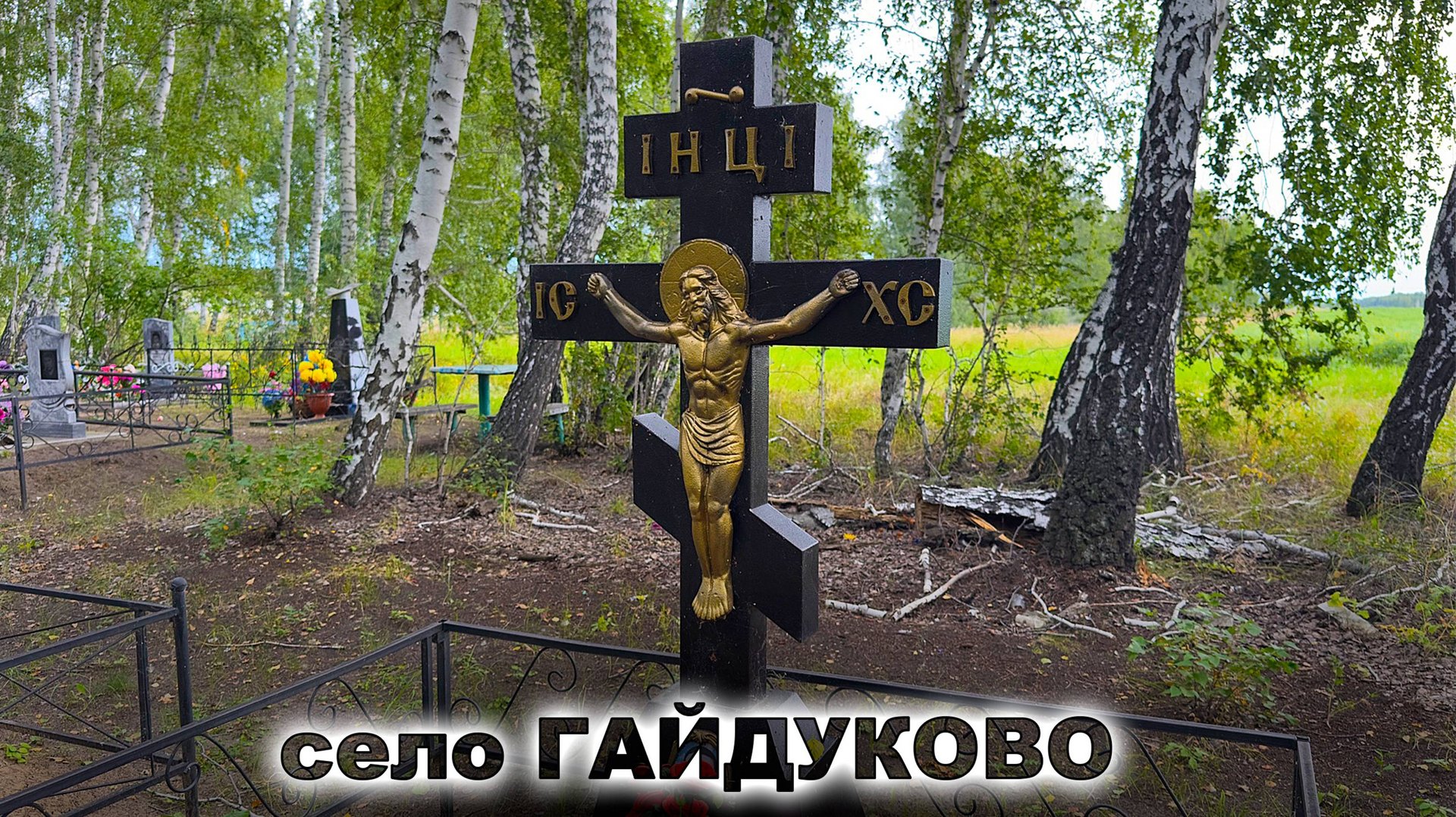 САМОЛЁТ УПАЛ 1 УМЕР 2-й ВЫЖИЛ. Село ГАЙДУКОВО (Петропавловск) смотреть онлайн