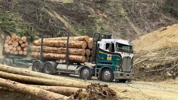 Мощные лесовозы