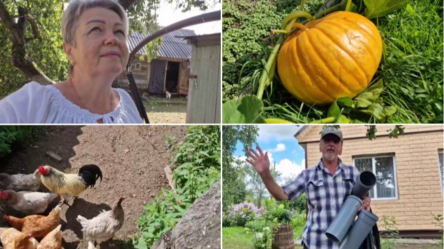 Из Москвы в деревню или пенсионеры на позитиве