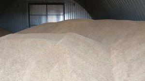 обстановка с продажей зерна