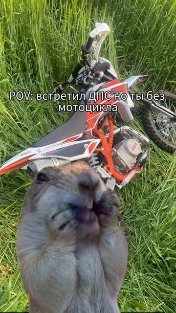 тгк : Kayovod TG смотреть онлайн