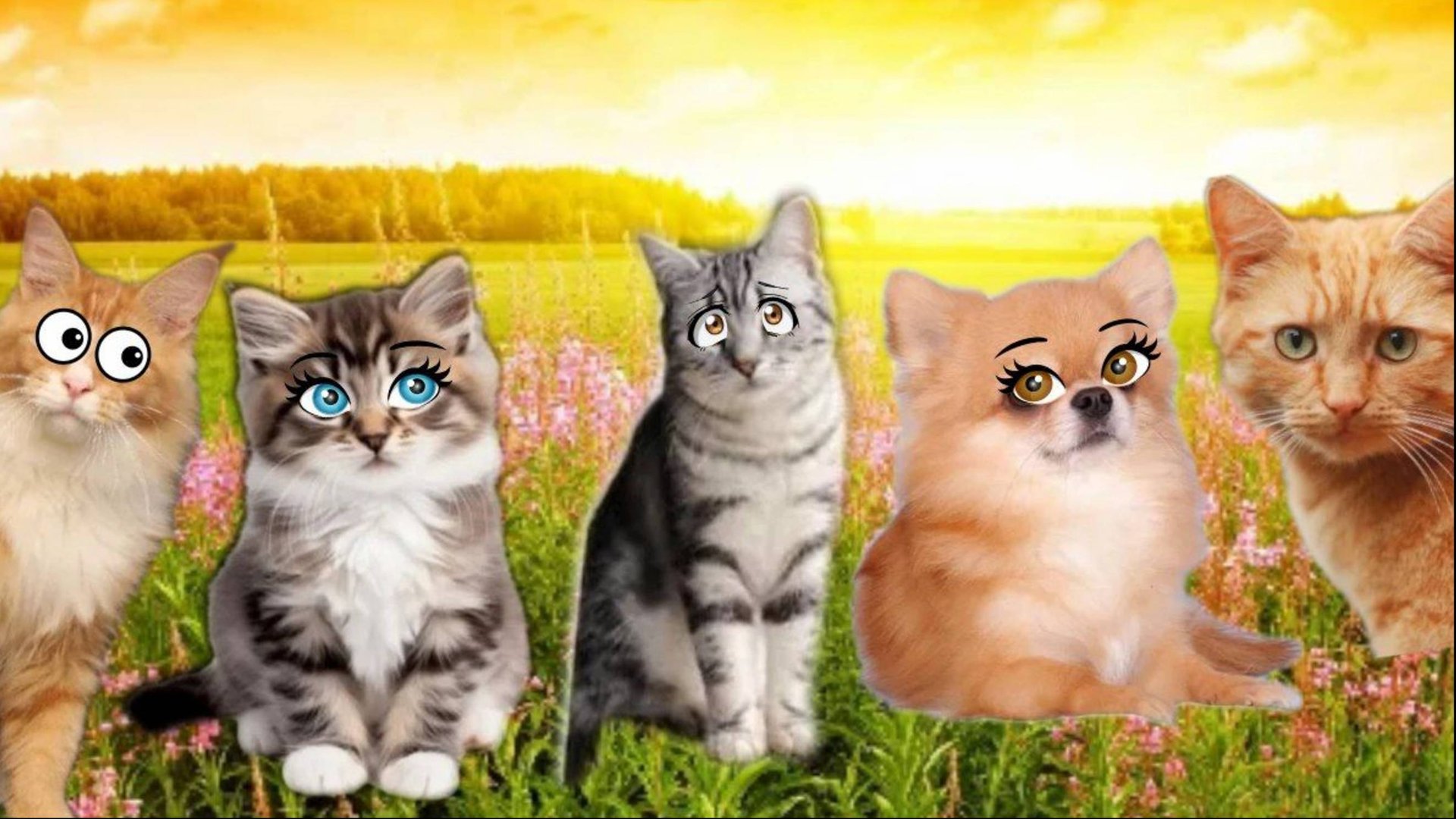 Шта?! ОЧЕНЬ ОПАСНЫЙ ЭКСПЕРИМЕНТ ОТ БЕССИ???