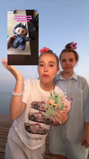 выбросила оригинального лабубу 😭