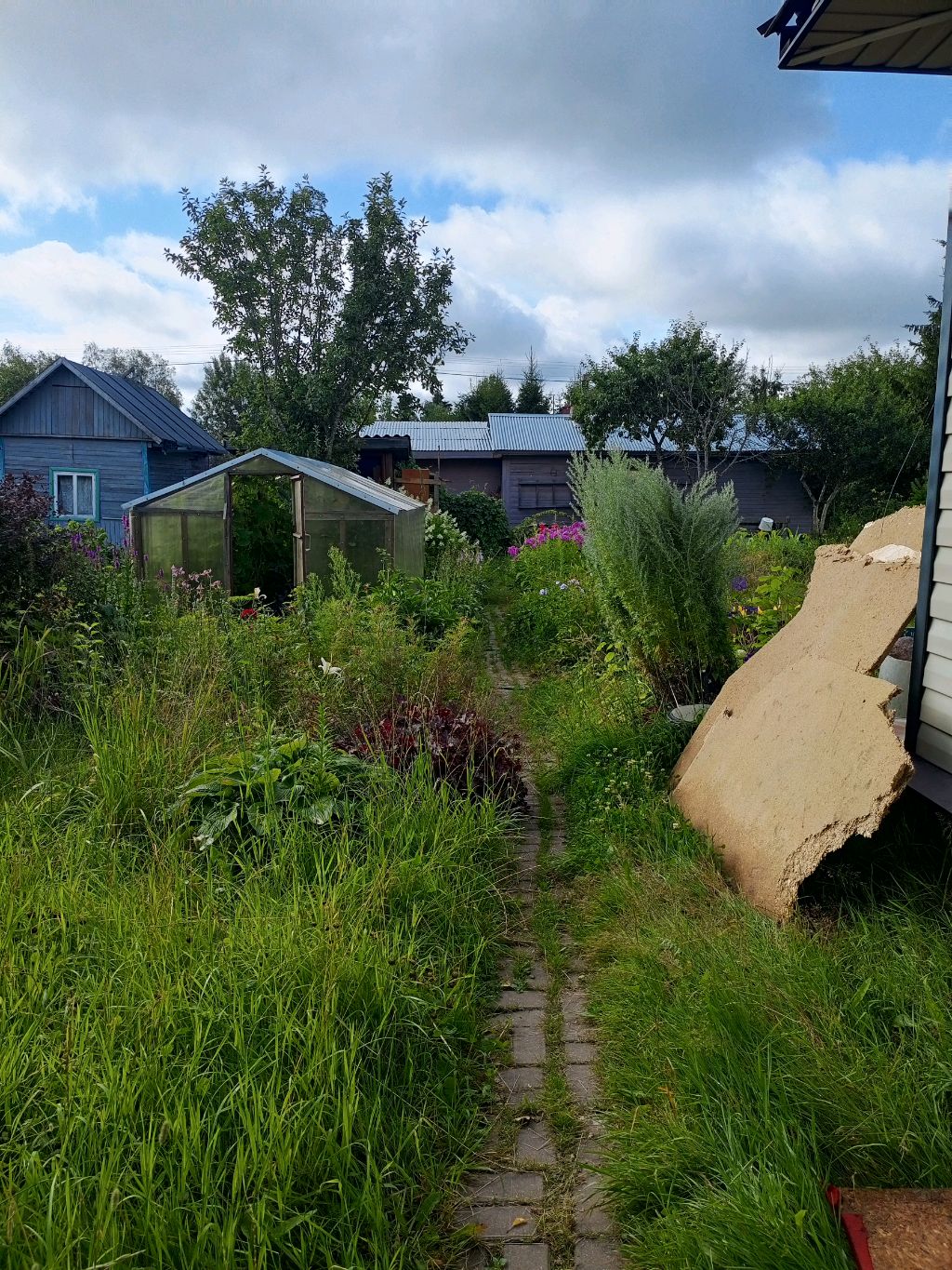 Дачный участок смотреть онлайн