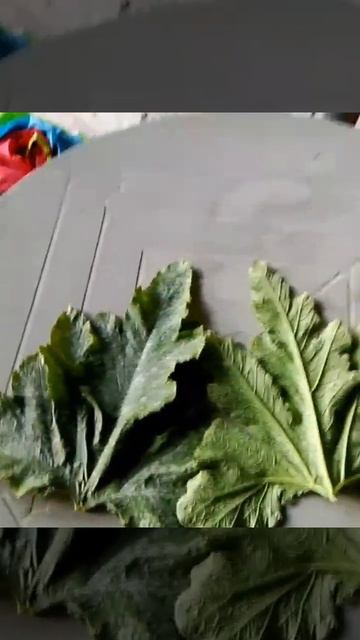 Сериал Листик (2 серия)