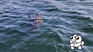 Странные существа снятые на камеру😶