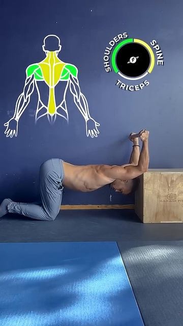 Растяжка широчайших на коробке смотреть онлайн