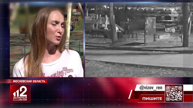 Суд начал рассмотрение дела об убийстве женщины на детской площадке в Подольске смотреть онлайн