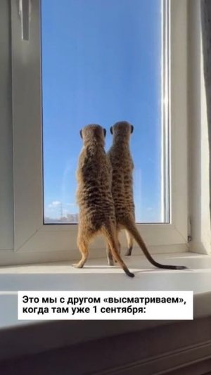 А вы ждете 1 сентября?