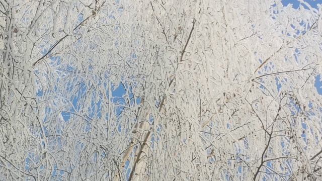 Зима 2021, 2022. Авторское видео . смотреть онлайн