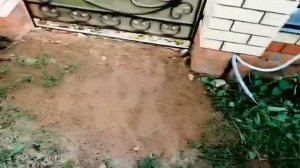 Мопеды сериал | Серия 1486