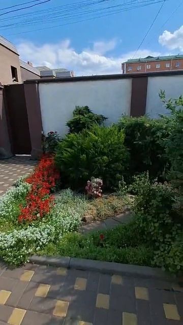 4844819 смотреть онлайн