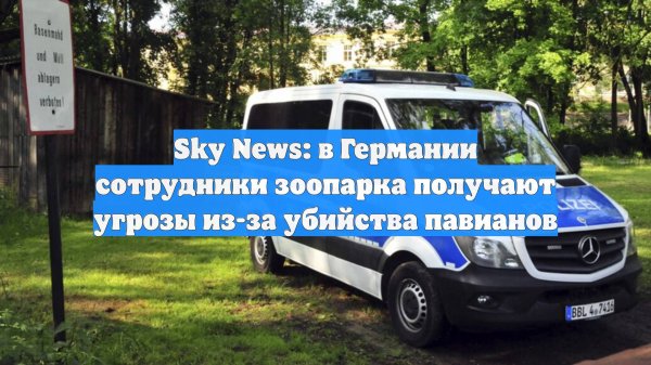 Sky News: в Германии сотрудники зоопарка получают угрозы из-за убийства павианов