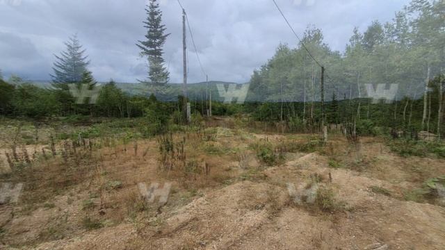 СНТ Сахалинец смотреть онлайн