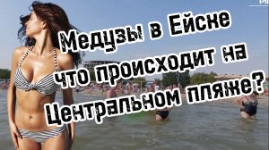 ЕЙСК Центральный пляж сегодня 7 августа 2025. Море и погода в Ейске сейчас. Краснодарский край
