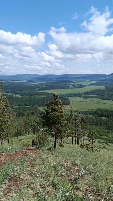 Штурмуем хребет Крака. Башкирия #башкирия #путешествияпороссии