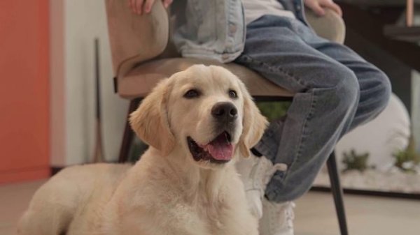 Рекламная съемка Тимура, модель FCamp models.