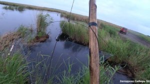 Рыбалка на паук подъёмник. Дождь идёт, а мы рыбу ловим. Труба вновь дала нам хороший улов.