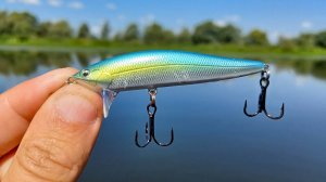 ОФИГЕТЬ КАК КРУПНЯК ЕСТ ЭТУ ПРИМАНКУ. ТАКОЙ РАЗДАЧИ Я НЕ ЖДАЛ. Рыбалка на спиннинг в 2025