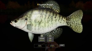 Русская Рыбалка 4 Трофей (Краппи белый) оз. Лосиное