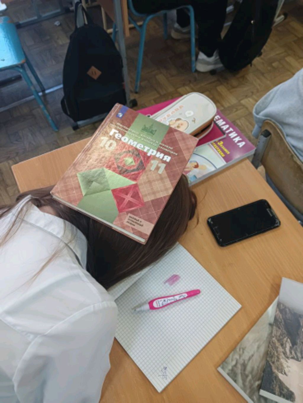 трансляция Цапли﹥﹤