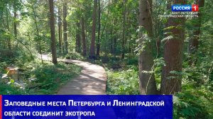 Заповедные места Петербурга и Ленинградской области соединит экотропа