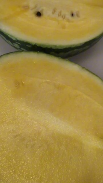 Арбуз Фейерверк. Первый арбуз 7 августа 2025г. Арбузы в средней полосе России. смотреть онлайн