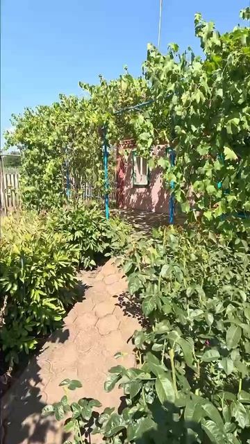 🌴 Переезд на Юг  - Виктор Саликов.