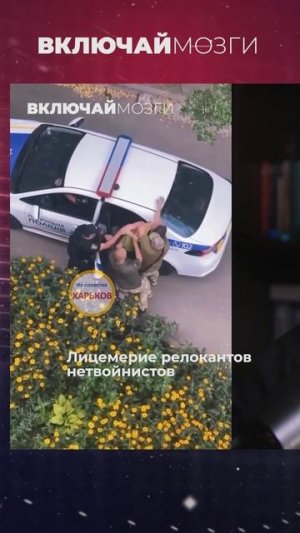 Лицемерие релокантов нетвойнистов