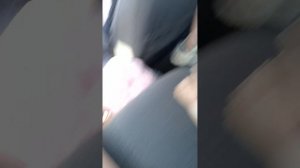 Нашла в галерее старое видео с Евой