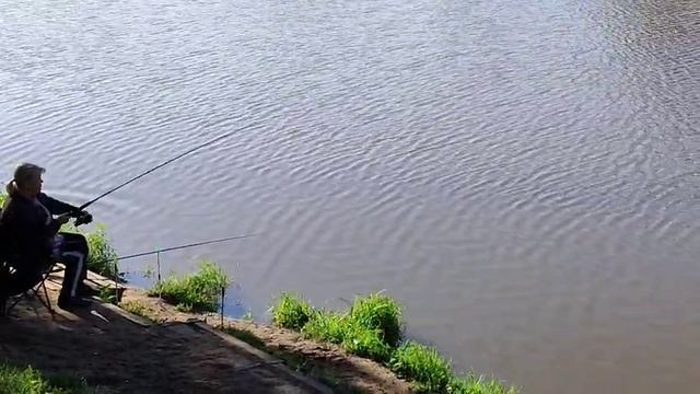 Поимка на кукурузу смотреть онлайн