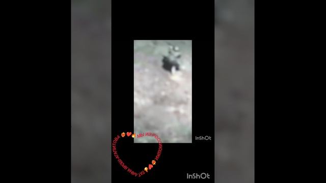 Мы из Россиюшки. Татьяна Ярош-Агапитова.