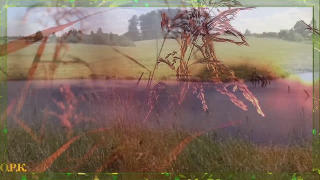 АХ,ДУША ТЫ МОЯ,НЕПУТЁВАЯ,,