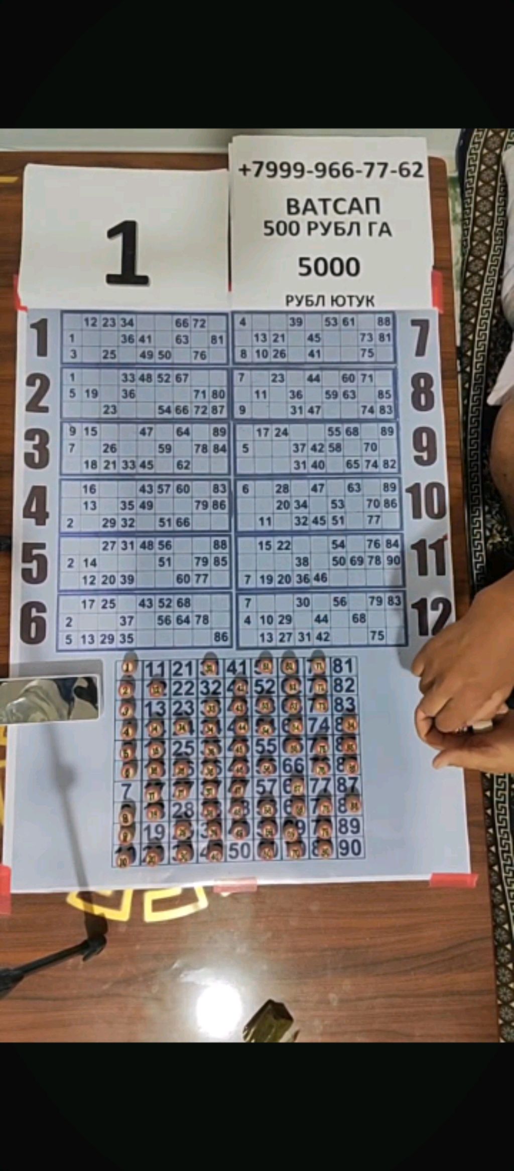 ZUR LOTO N1 EFIRDA 32